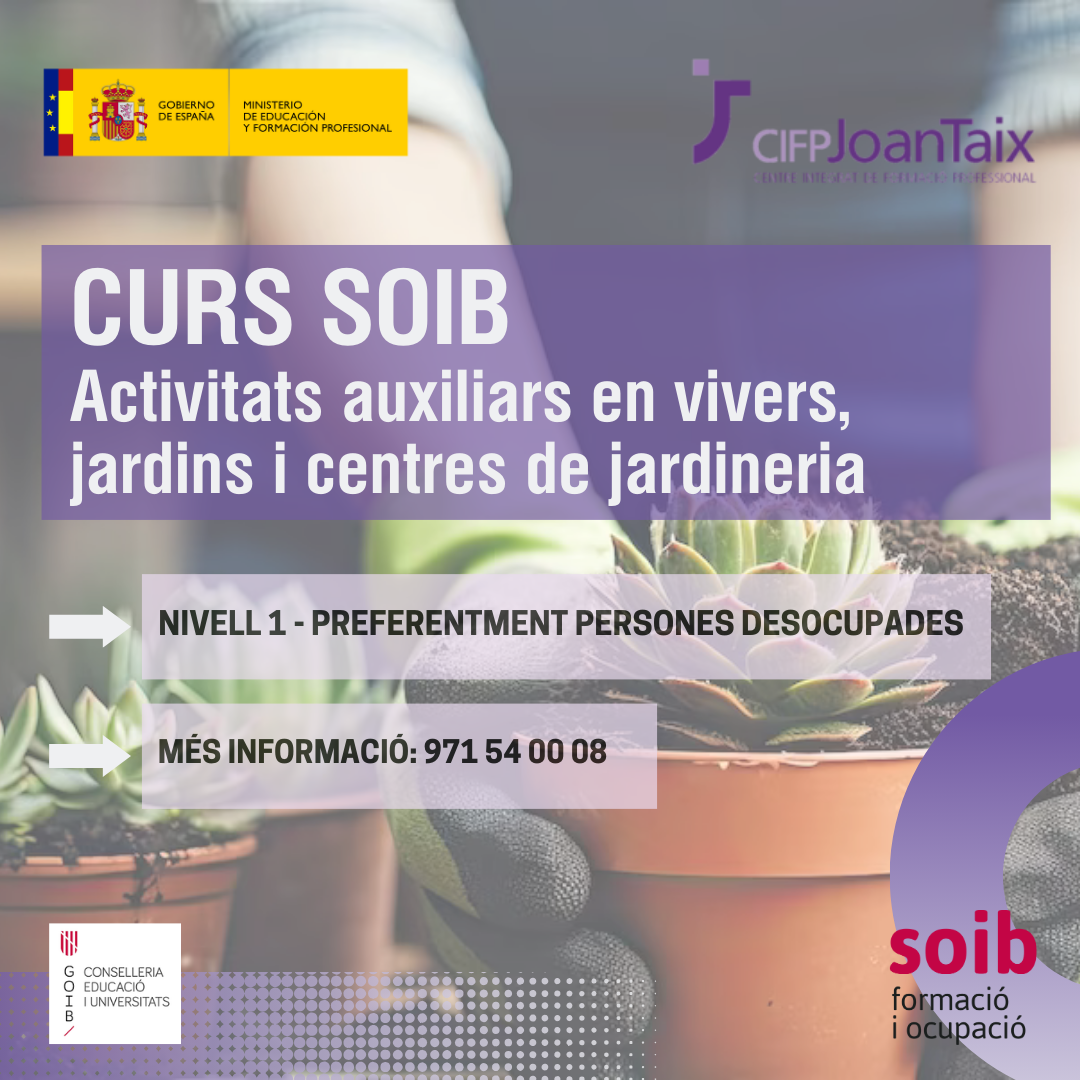 Cursos SOIB