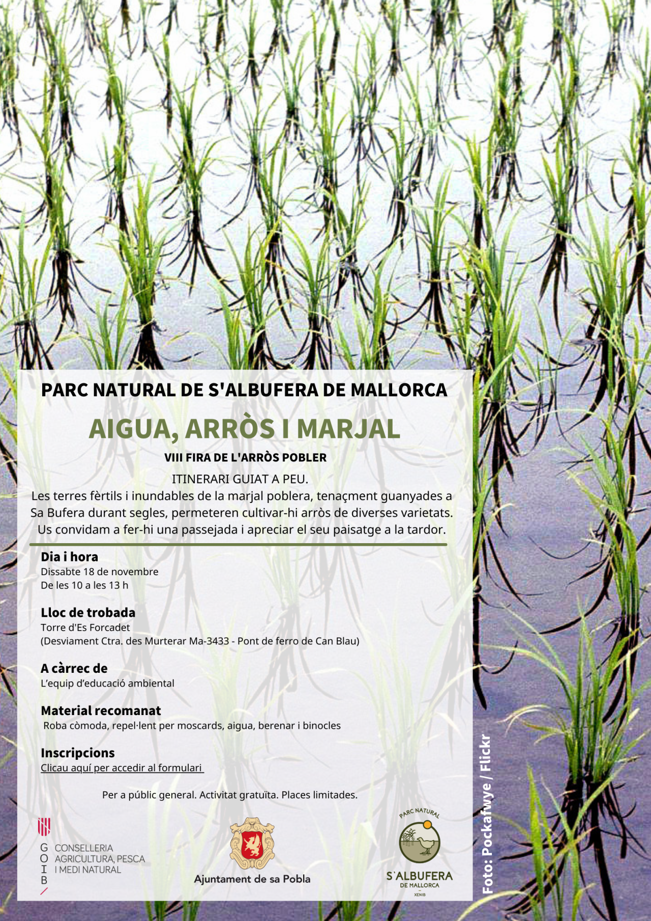 "Aigua, arròs i marjal" VISITA GUIADA A PEU al PN de s'Albufera