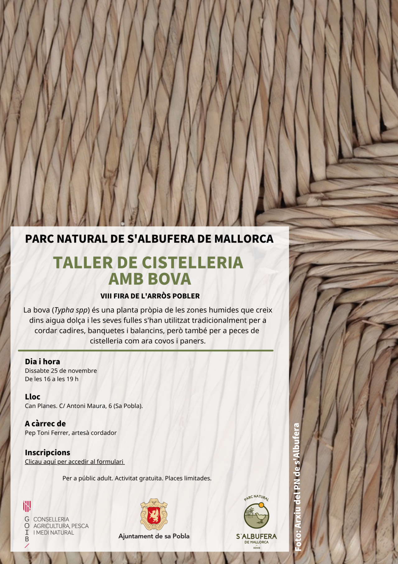 TALLER de cistelleria amb bova
