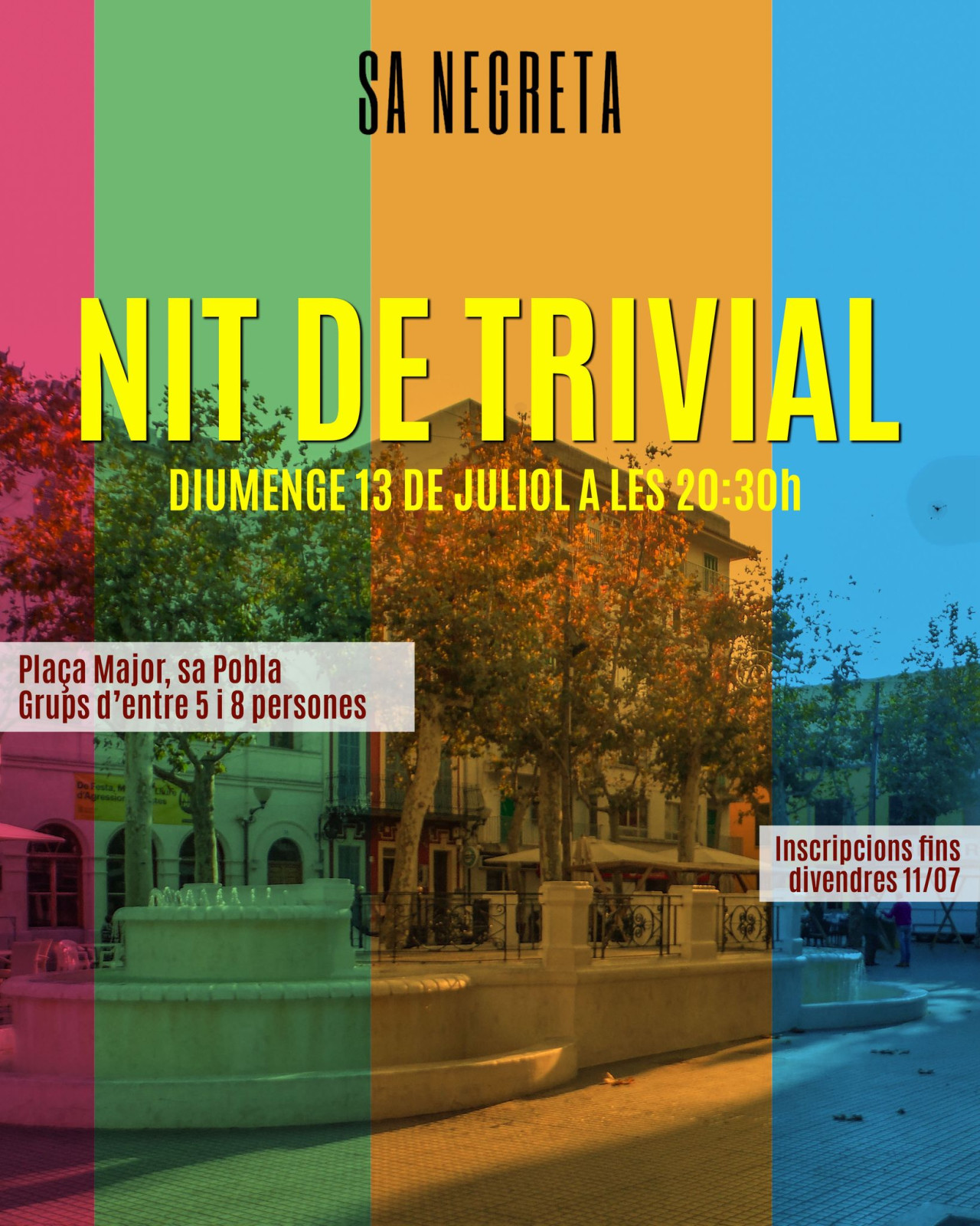 IV NIT DE TRIVIAL POBLER