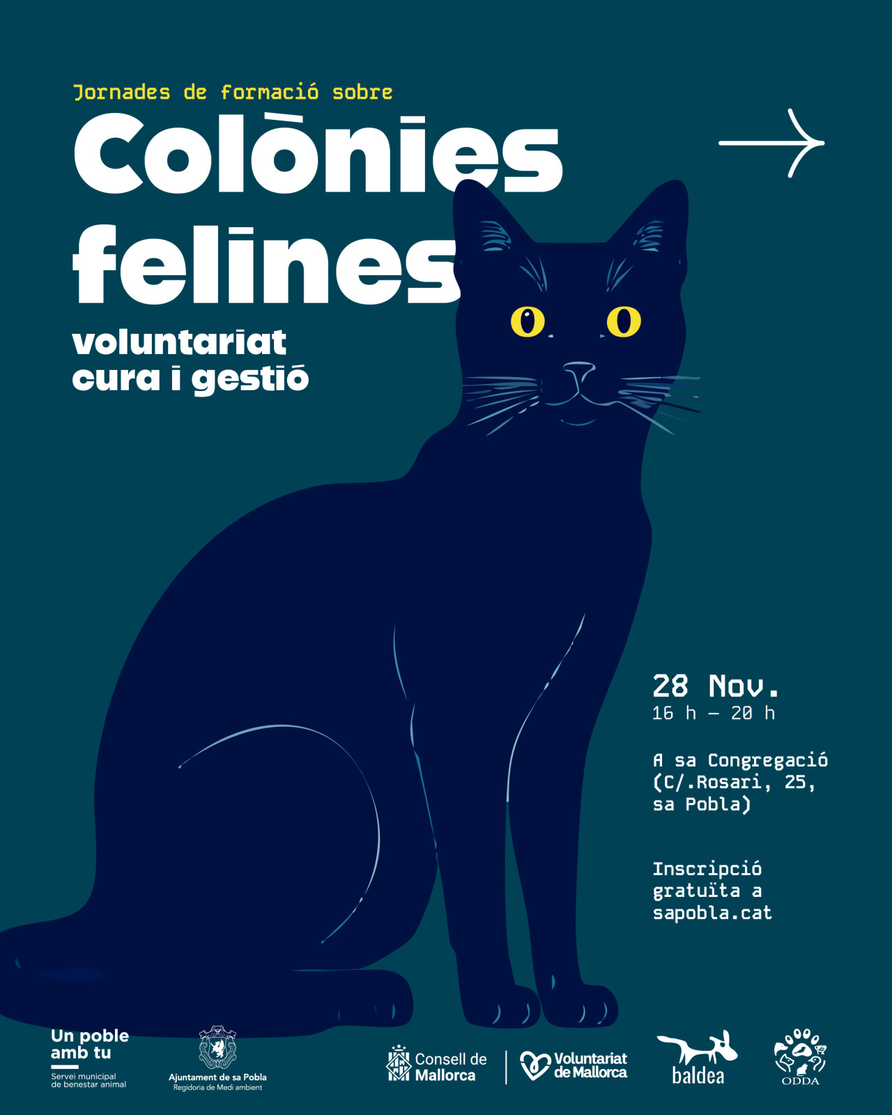 Jornada de formació sobre colònies felines