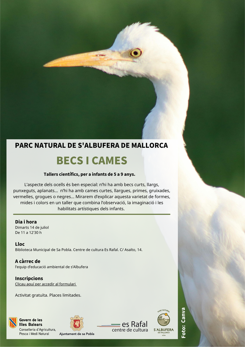 Taller BECS i CAMES