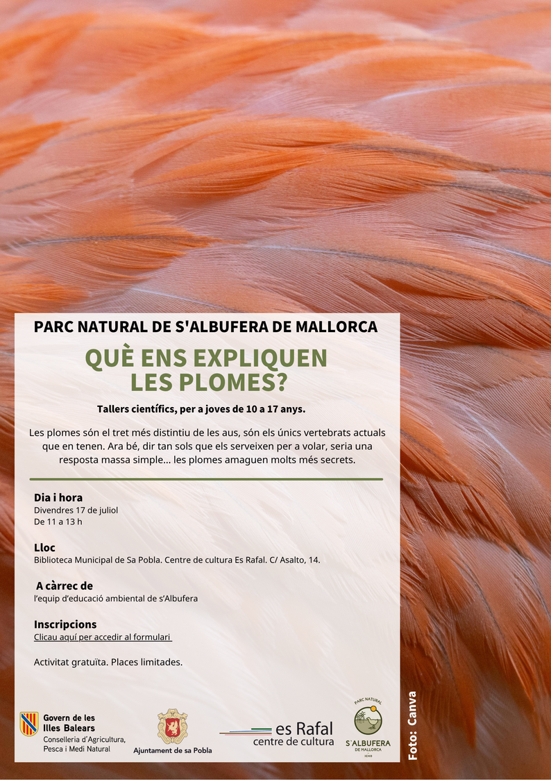 Taller QUÈ ENS EXPLIQUEN LES PLOMES?