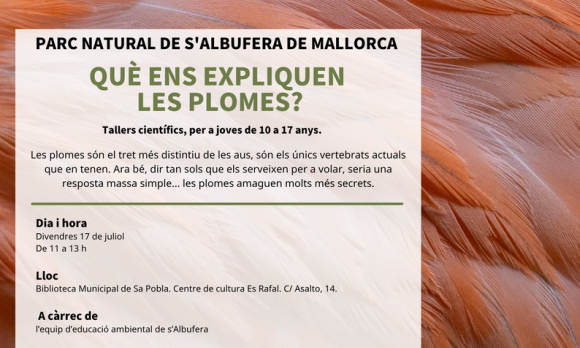 Taller QUÈ ENS EXPLIQUEN LES PLOMES?
